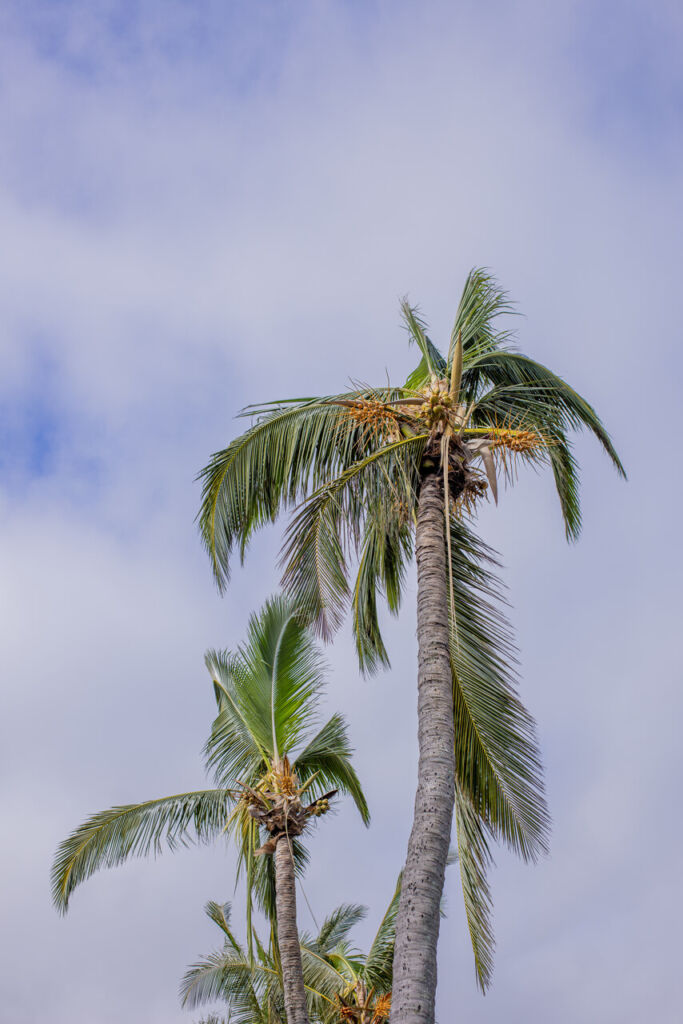 cyklon Belal Mauritius