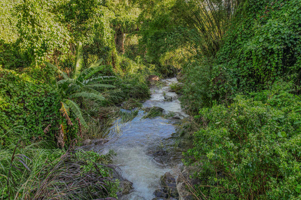 cyklon Belal wylane rzeki