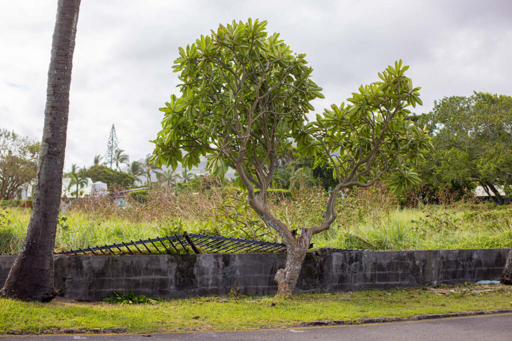 cyklon Belal zniszczenia