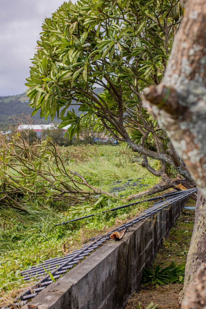 zniszczenia cyklon Belal