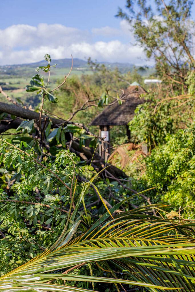 zniszczenia po cyklonie Belal